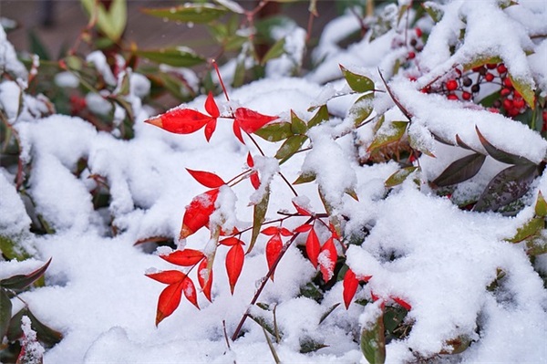 个性网名繁体伤感