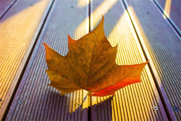 钱途无量个性网名