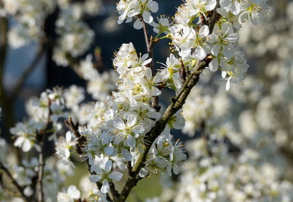 qq男孩网名大全
