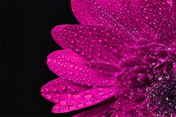 英文网名简单好听的