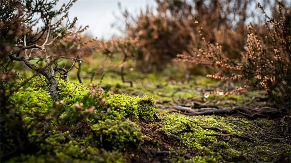 游戏网名男个性网名