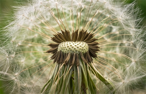 qq网名中间有情迷字
