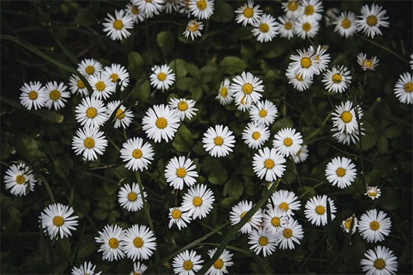 爱为幸福努力个性网名