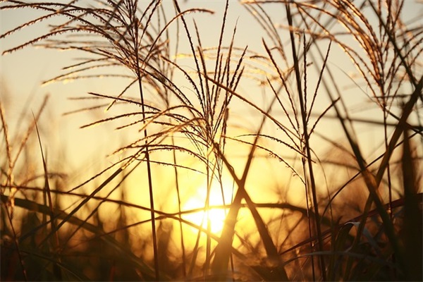 超萌qq网名女生