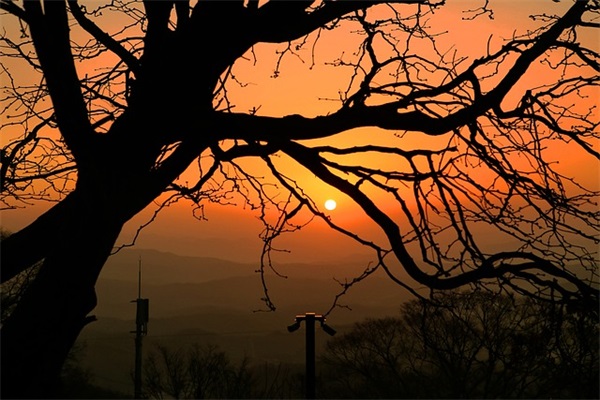 带心字的网名可爱