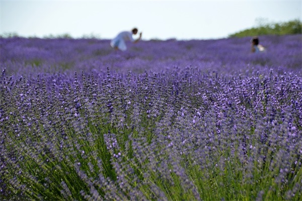 个性网名炫舞名字