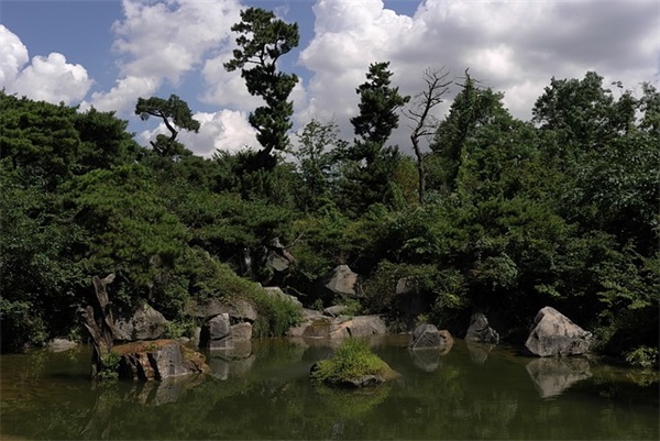 qq网名带风字大全