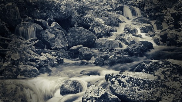 qq网名里面有婷字