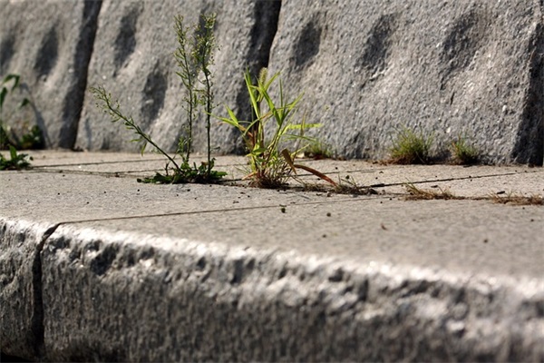 带赞字的QQ网名