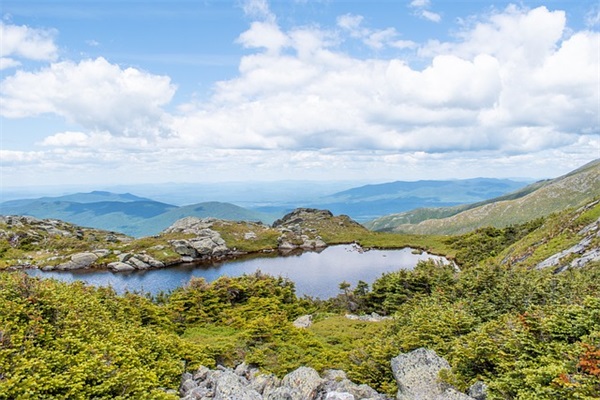 关于说失恋qq的网名