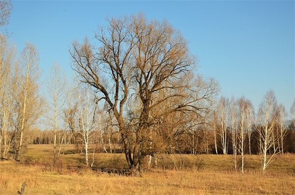 个性非主流男网名