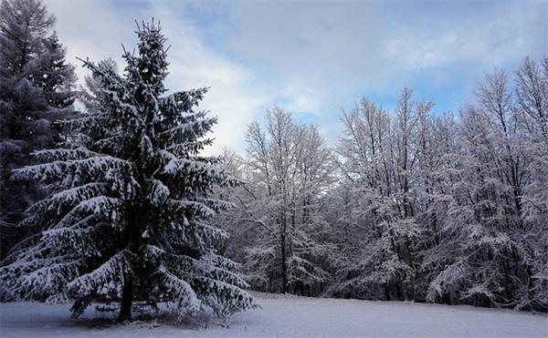 qq网名姓名合成