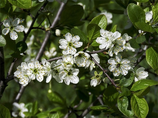 带丹字的qq网名