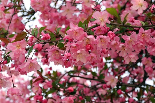 内涵简单的网名