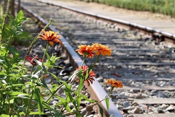 qq群管理员个性网名