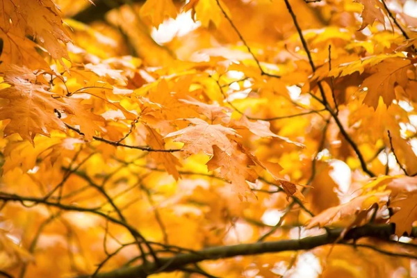 可爱活泼的网名符号