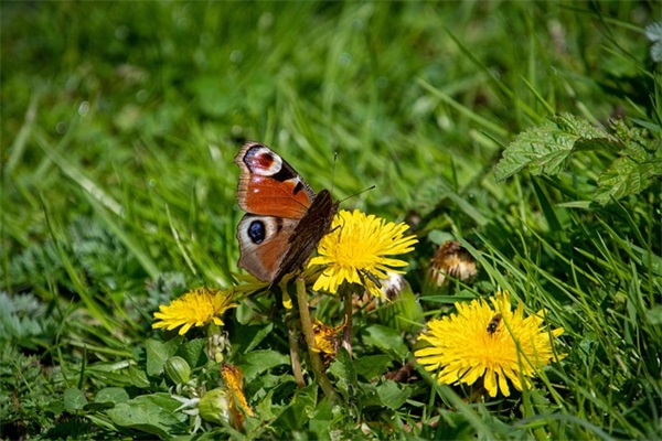 qq男生怀旧网名大全