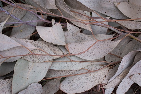 qq飞车合法网名大全