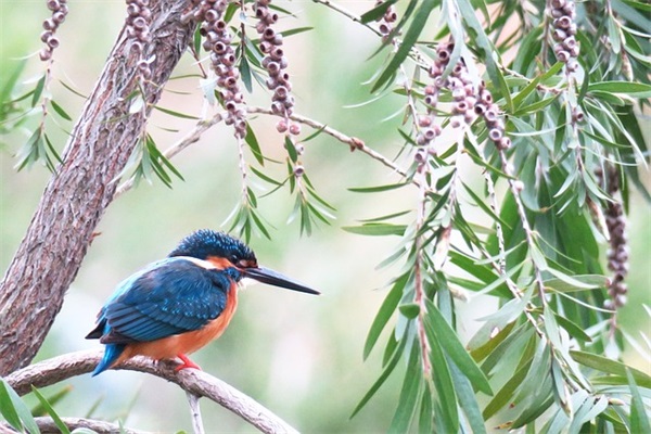 客户出差祝福短信83句