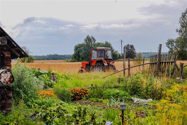 中秋节日短信大全81句