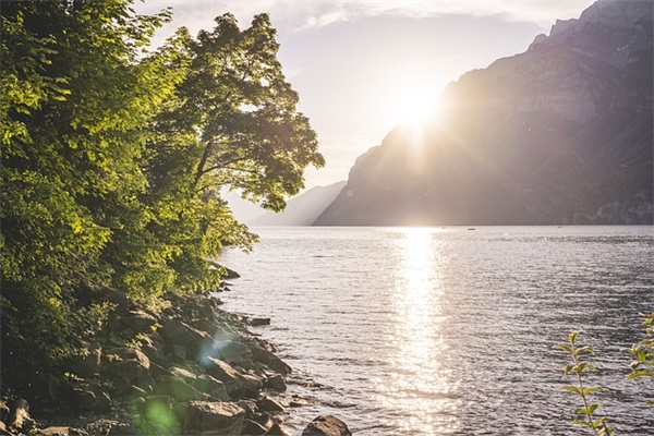 浪漫晚安短信85句