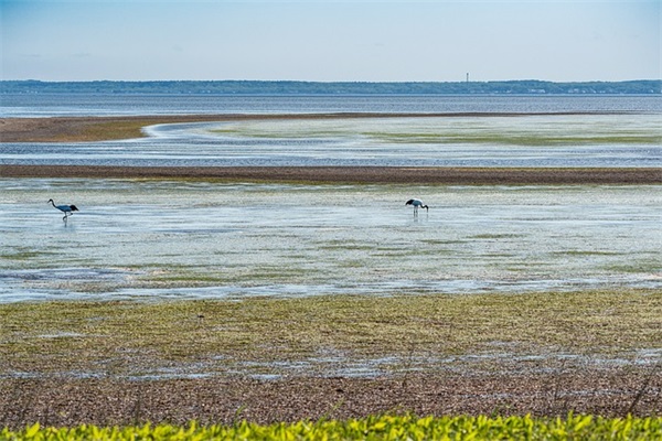 国庆节英语短信
