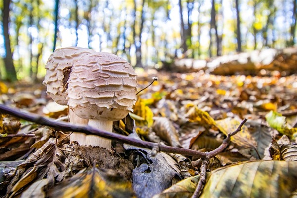 关心女友的短信81句