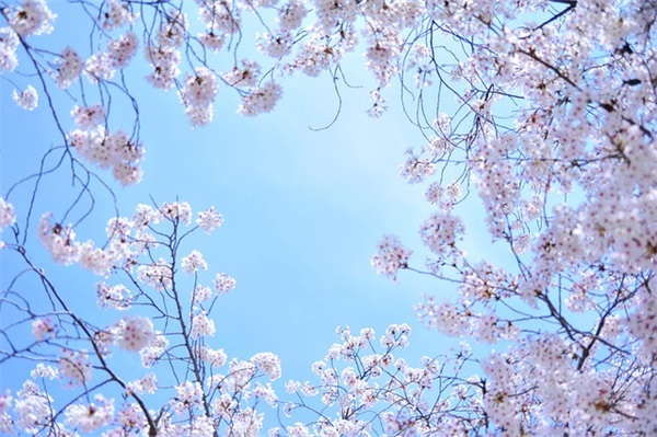 给老师的元旦短信76句