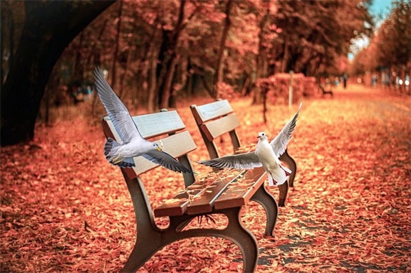 国庆节恶搞短信81句