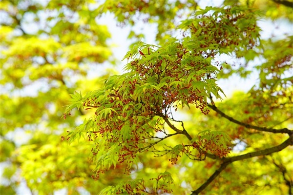 女朋友生病安慰短信88句