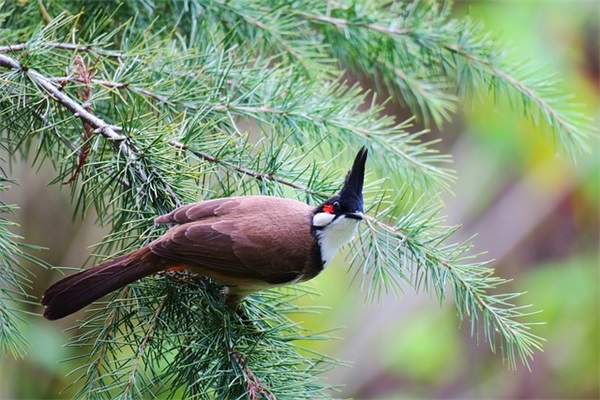 劳动节问候短信81句