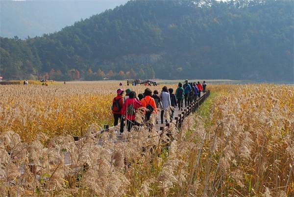 元宵节短信集锦82句