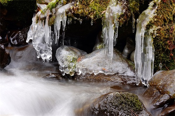 大哥生日祝福短信大全80句