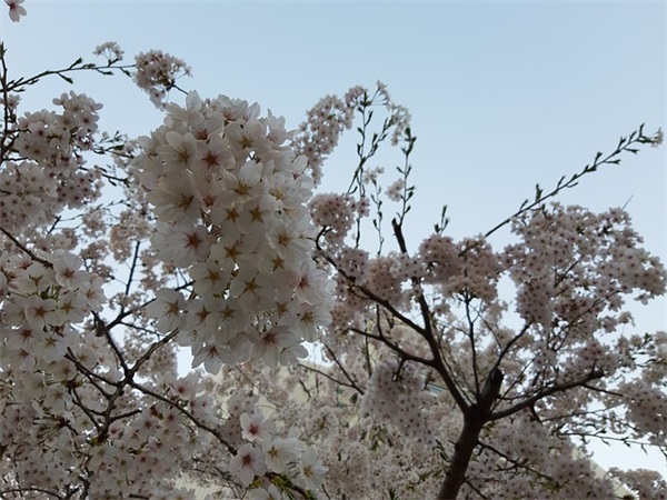 五一节商务短信81句