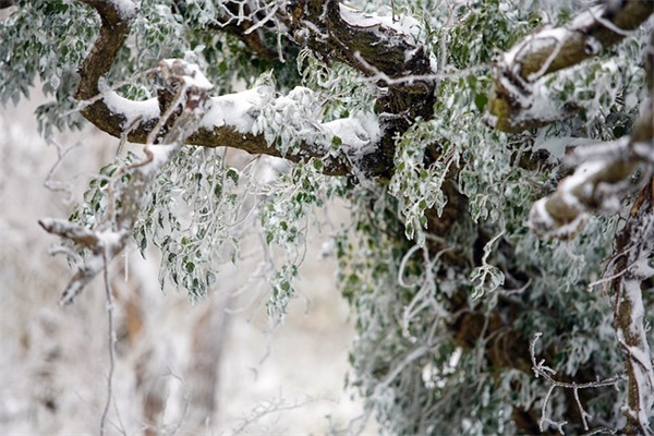 中秋幽默笑话短信82句