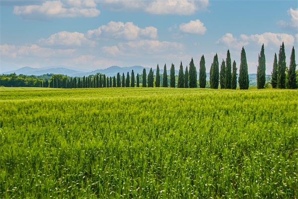 教师新年祝福短信81句