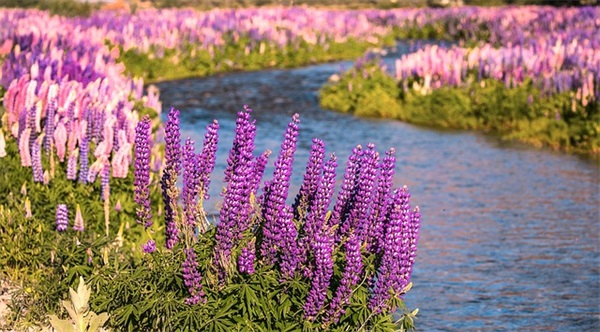 早安幽默短信给女友80句