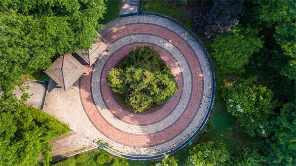 情人搞笑短信82句