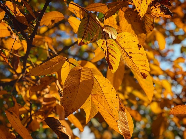 关心女朋友的短信81句