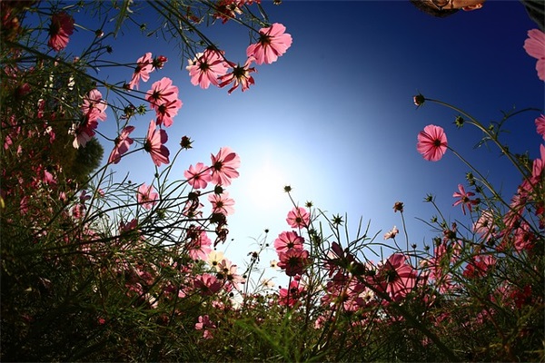 冬季美容顾客关心短信76句