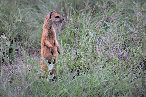 家长祝福老师的短信82句
