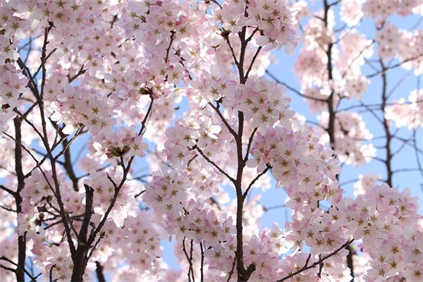 中秋节朋友短信息80句