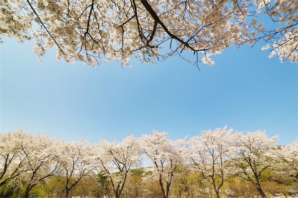 元旦发财短信85句