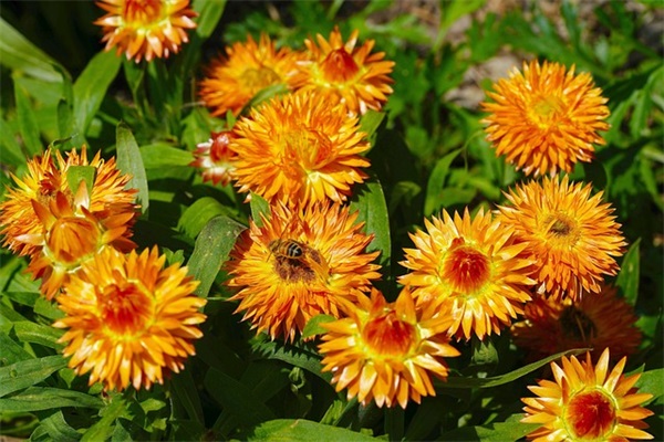 关于中秋节情人短信81句