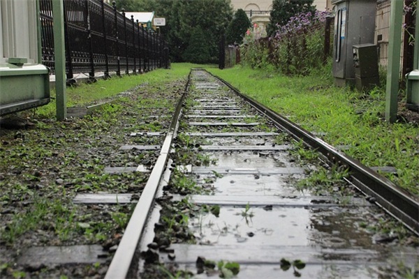 圣诞幽默祝福短信80句