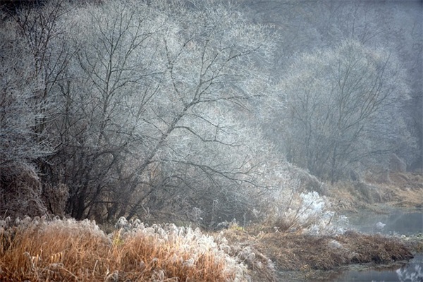 祝福爸爸生日的短信74句