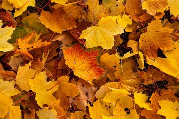 给爱人的短信100句