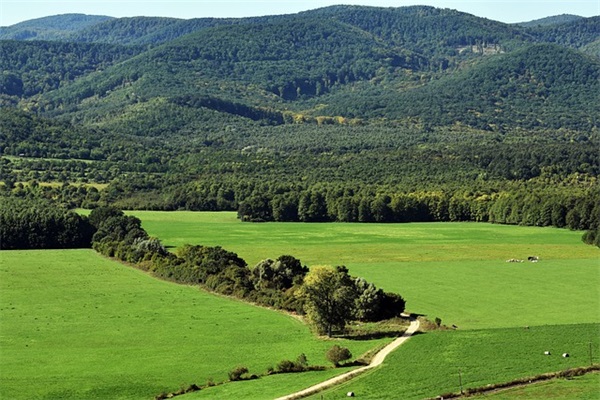 国庆节祝福幽默短信81句
