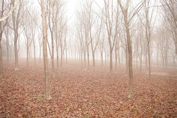 中秋节给情人的短信81句