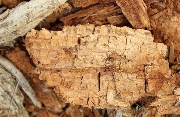 伤感分手短信大全81句